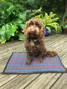 Blue Tartan Sit Mat