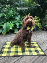 Load image into Gallery viewer, Kinross Tartan Sit Mat