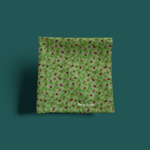 Load image into Gallery viewer, Ladybug Fiesta Bandana