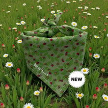 Load image into Gallery viewer, Ladybug Fiesta Bandana