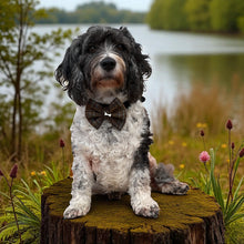 Load image into Gallery viewer, Pepper