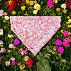 Petite Fleur