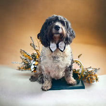 Load image into Gallery viewer, Tuxedo Bow