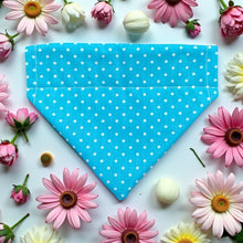 Load image into Gallery viewer, Turquoise Polka Dot