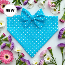 Load image into Gallery viewer, Turquoise Polka Dot