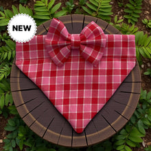 Load image into Gallery viewer, Country Charm Check