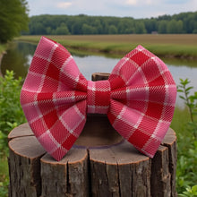 Load image into Gallery viewer, Country Charm Check