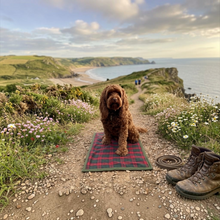 Load image into Gallery viewer, Highland Check Sit Mat