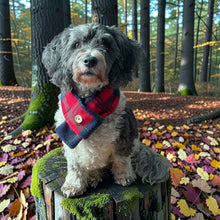 Load image into Gallery viewer, Checkered Scarf