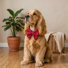 Load image into Gallery viewer, Red Nautical Sailor Bow