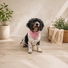 Load image into Gallery viewer, Red Stripe Reversible Bandana