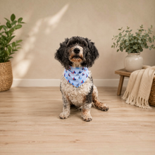 Load image into Gallery viewer, Sail Away Reversible Bandana