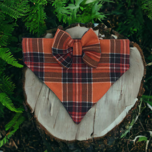 Sienna Tartan