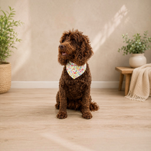 Load image into Gallery viewer, Spring Floral Reversible Tie Bandana