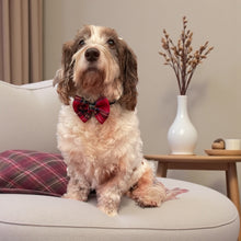 Load image into Gallery viewer, Royal Stewart Tartan