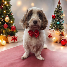 Load image into Gallery viewer, Christmas Sparkle Bow Red
