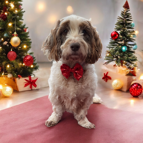 Christmas Sparkle Bow Red