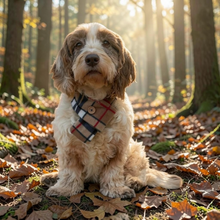 Load image into Gallery viewer, Beige and Black Tartan Scarf