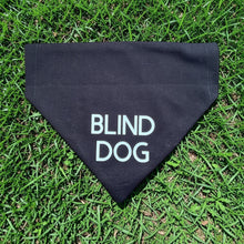 Load image into Gallery viewer, Blind Dog