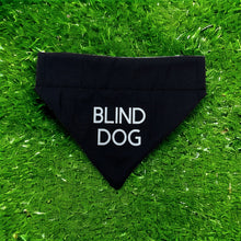 Load image into Gallery viewer, Blind Dog
