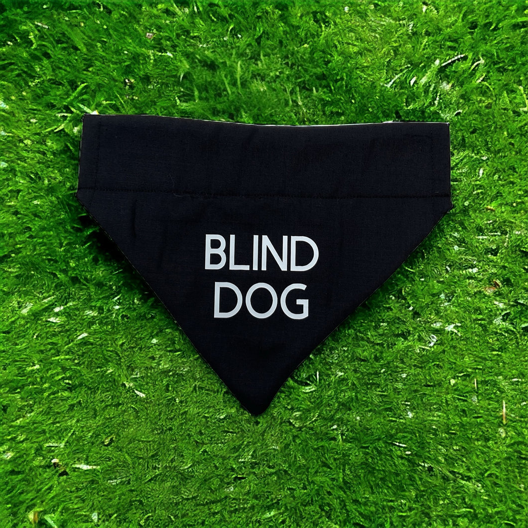 Blind Dog