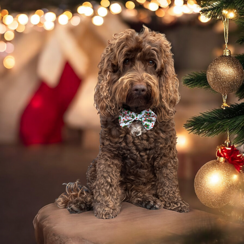 Christmas Candy Cane