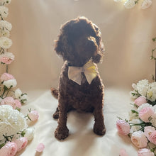 Load image into Gallery viewer, Wedding Sailor Bow