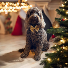 Load image into Gallery viewer, Christmas Sparkle Bow Gold