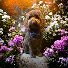 Load image into Gallery viewer, Poppy
