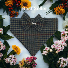 Load image into Gallery viewer, Bertie