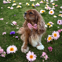 Load image into Gallery viewer, Petite Fleur