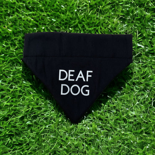 Deaf Dog