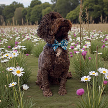 Load image into Gallery viewer, Felicity Floral
