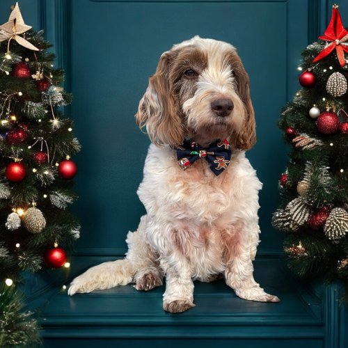 Christmas Gingerbread