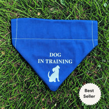 Load image into Gallery viewer, Dog In Training