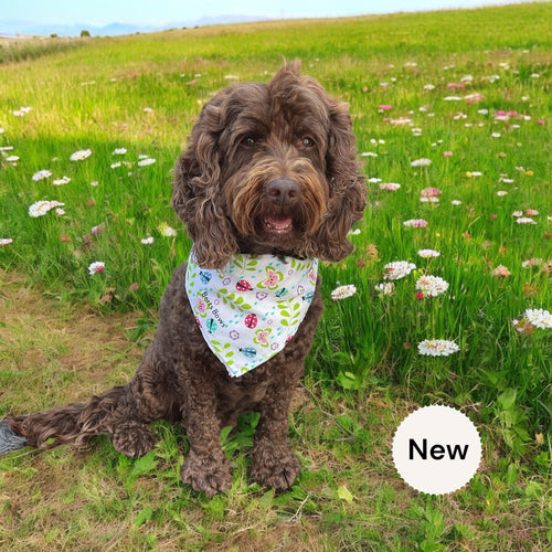 Ladybug Dog Bandana