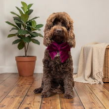 Load image into Gallery viewer, Velvet Sailor Bow Magenta