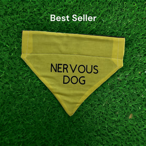 Nervous Dog