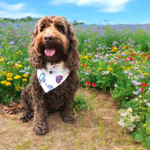 Patchwork Dog Bandana