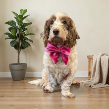 Load image into Gallery viewer, Velvet Sailor Bow Pink