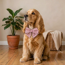 Load image into Gallery viewer, Red Stripe Sailor Bow