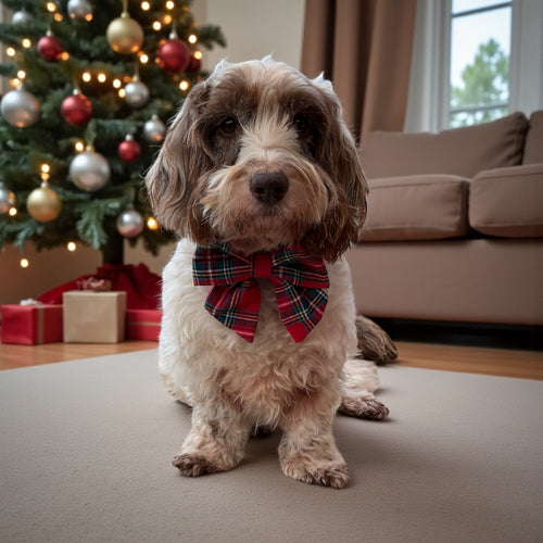 Christmas Tartan Sailor Bow