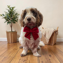 Load image into Gallery viewer, Velvet Sailor Bow Red