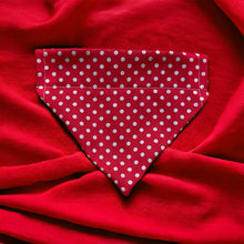 Load image into Gallery viewer, Red Polka Dot