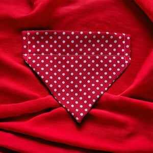 Red Polka Dot