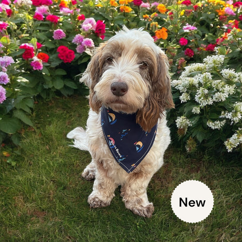 Sail Away Dog Bandana