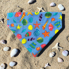 Load image into Gallery viewer, Sea Shells