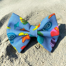 Load image into Gallery viewer, Sea Shells