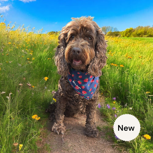 Strawberry Bloom Dog Bandana