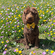 Load image into Gallery viewer, Summer Flowers